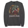 Men's Jurassic Park T-Rex Explosion Tropical Logo Graphic Fleece Pullover -Men's Skechers Shoes Shop 4249439 Charcoal Heather